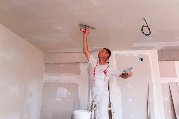 Best Touch-Up Painting  in USA